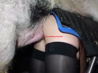 Girl acquires screwed by pig